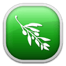 Olive Video Editor logo
