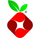 Pi-hole logo